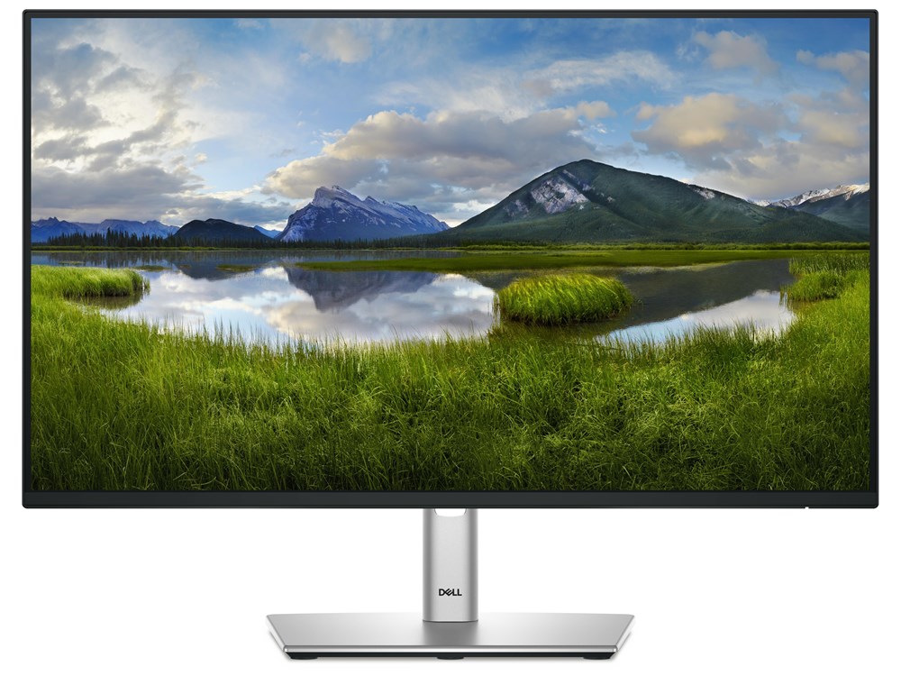 DELL P2425HE - 23,8 inch