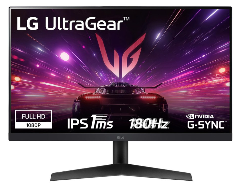 LG 24GS60F - 24 inch